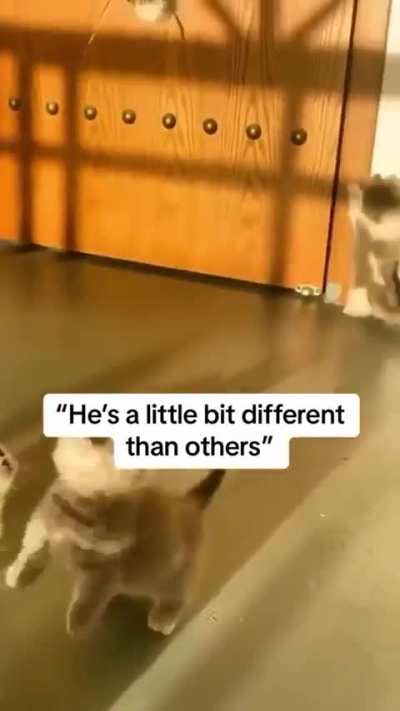 Child-process has invalid pointer references