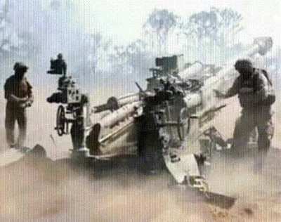 Why did Trump and Elon order the attack on this poor woman? Are they Nazis?