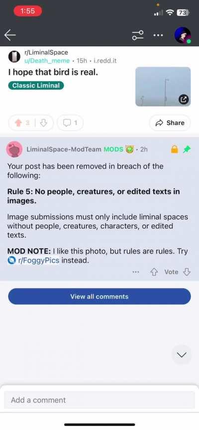 Alfa was right, the liminal space subreddit is full of troglodytes.😡