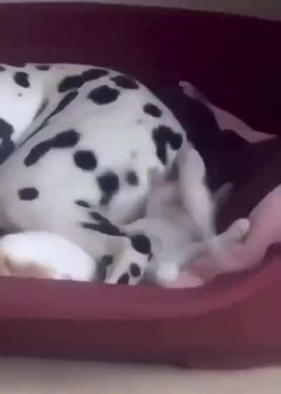 He took away her peace of mind