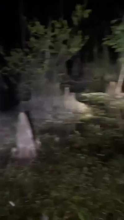 When death doesn't affect you