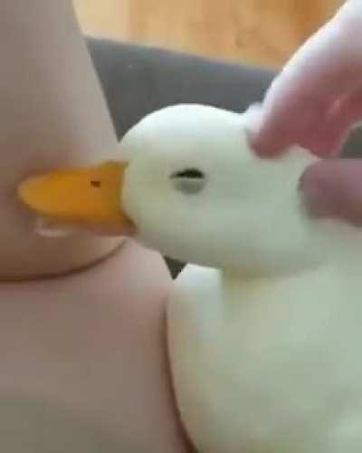 To make everyone smile here !