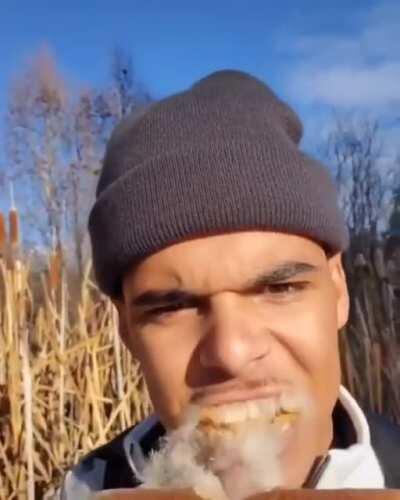 Menuda exquisitez🧐