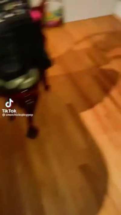 smol chicken brought dat man