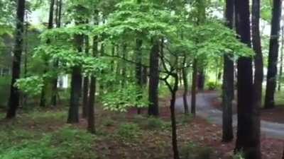 Sirens that played when the Hackleburg-Phil Campbell EF5 cut the power supply to the Browns Ferry nuclear powerplant during the 2011 super outbreak
