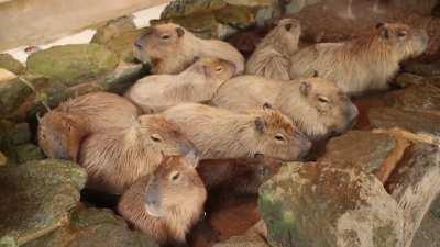 É sexta-feira, meus bacanos