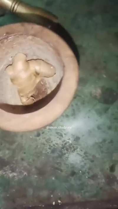 Title Gaya adrakh pisne