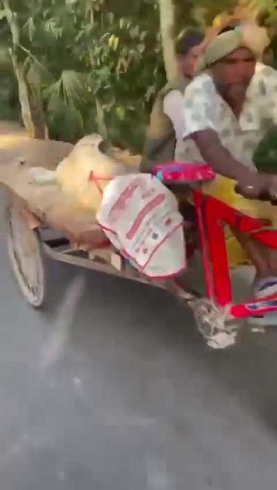 Bangladesh isn't for beginners