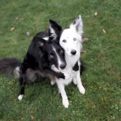 Give me a hug for the picture!