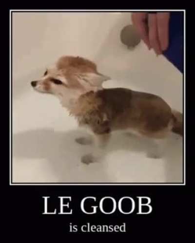 The cleansing ritual