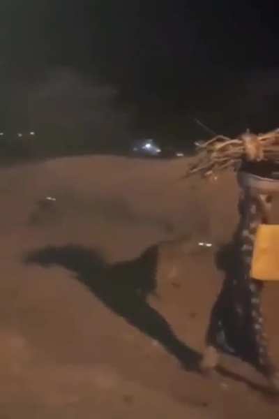 Fearless African woman walks past Hyenas