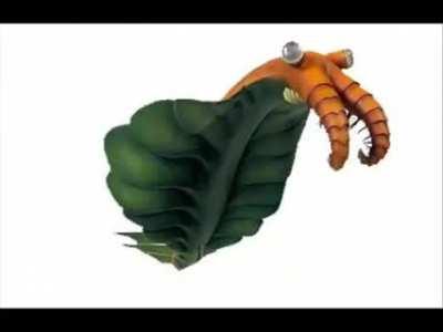 anomalocaris
