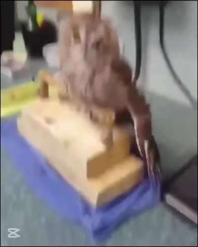 The look of shock. “Like what the hell just happened and why did you stop?”