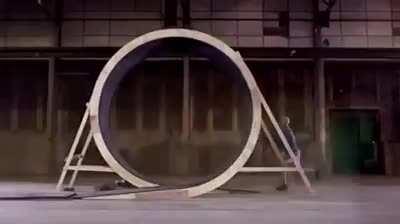 Он смог! Damien Walters