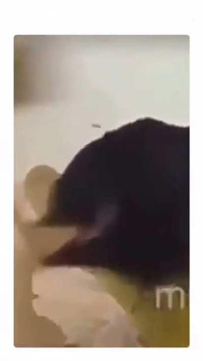 My last one got positive comments so give me some love