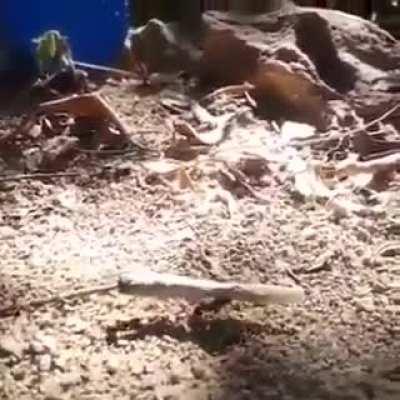 Hot box them tunnels!