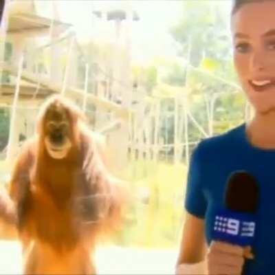 Bro que puto miedo la verdad