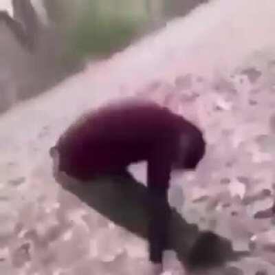 The rare Upright Shrimp