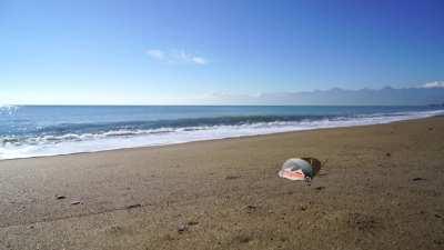 Smol Sunny at the beach (100 Sunny acoustic cover)