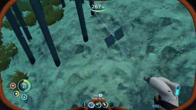 Holy fucking shit dude