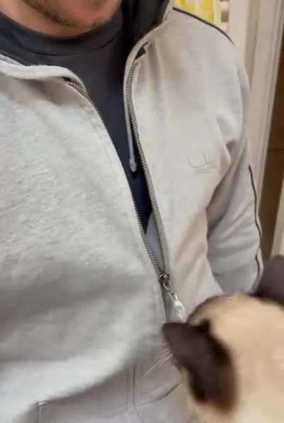 My cat’s new hobby is unzipping my husband’s coats. Repeatedly. And incessantly.