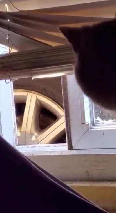 Guard stops a burglar