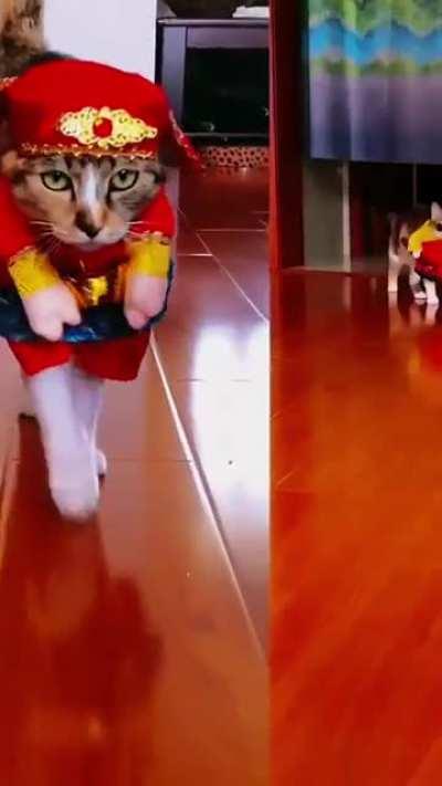 Go with the fashion...