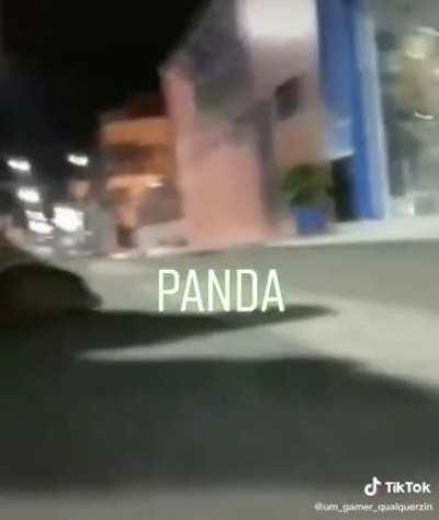 CRIADO NUMA FAZENDA JAMAIS TEVE TAL AMBIÇÃO