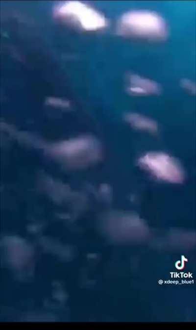 This is absolutely terrifying to me.