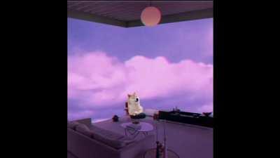 Doge is just vibing rn