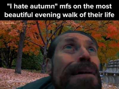 How&rsquo;s your autumn everyone