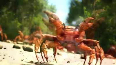 PM Jacinda Ardern upon hearing there are no active cases of COVID-19 in New Zealand