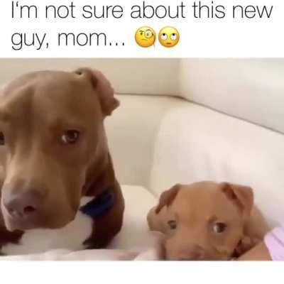 Look at him, being all cute