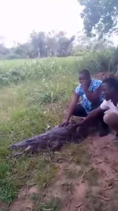 Everyone come and pose for a picture with the dangerous reptile.