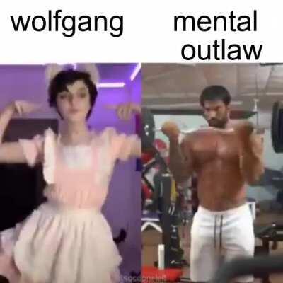 two types of gentoo users