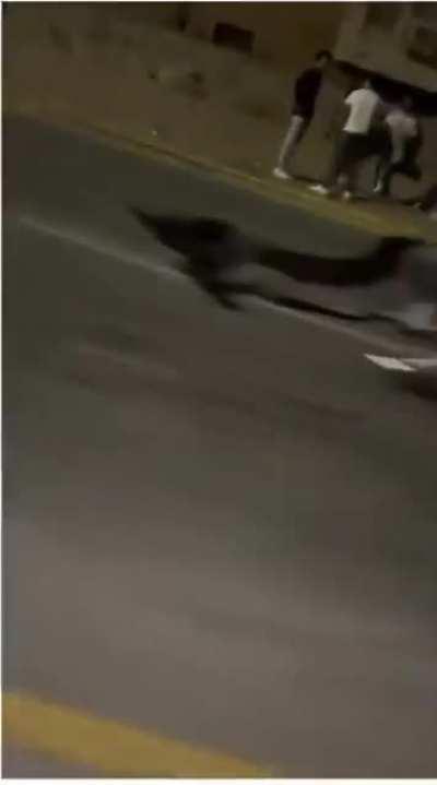 I mean he isn’t wrong