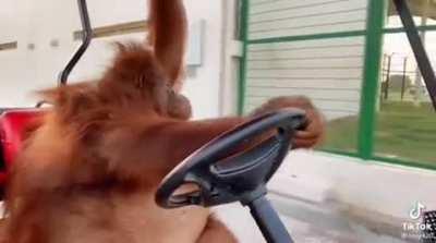 Driving back home after a long day at work