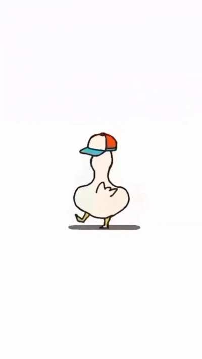 Duck