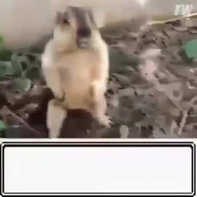 Primeras imagenes de la peli de pokemon en la vida real