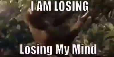 I AM CLINICALLY INSANE PLEASE HELP