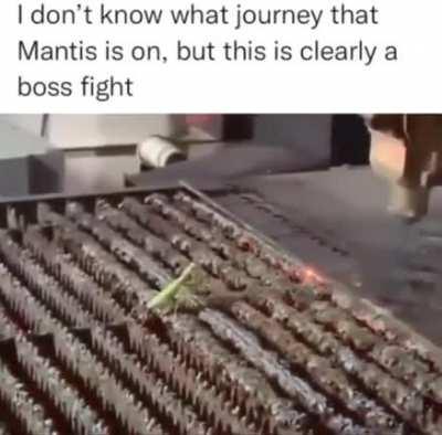 Kung-fu-mantis, Slayer of Shen the metal peacock