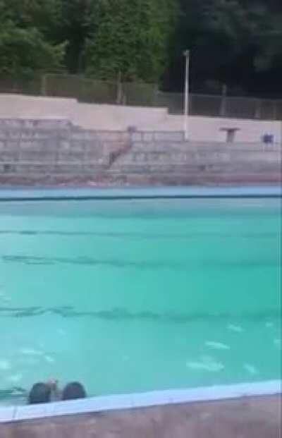 HMFT after I do a perfect dive