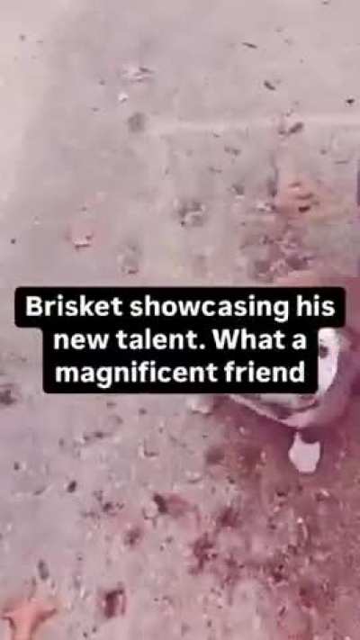 His ass is showing off and making everyone jealous, what an egotistical asshole