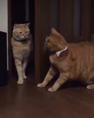 Take that and that .. and that too