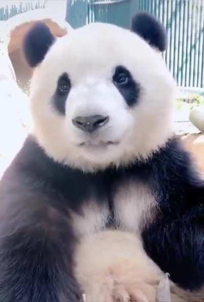 Duuudeee the souuunnndddd