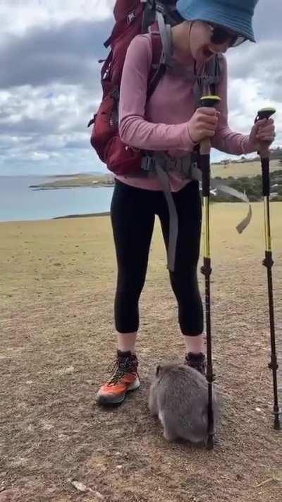 Bichinho achou o lugar perfeito pra dar aquela coçadinha 