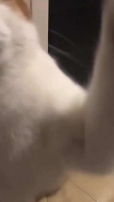 Here's a sweet kiss from Mollie if you guys are having a bad day :))