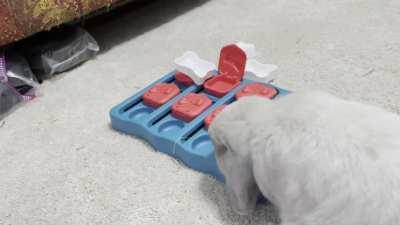 Lebowski is super good at puzzles.