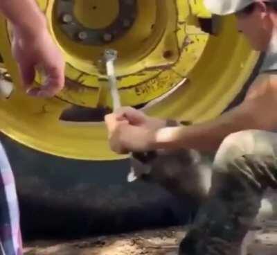 Looks like you need a little extra help on this one, hooman