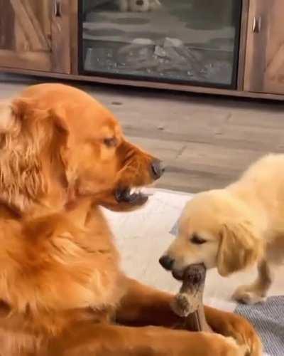 I got a bone to pick with you